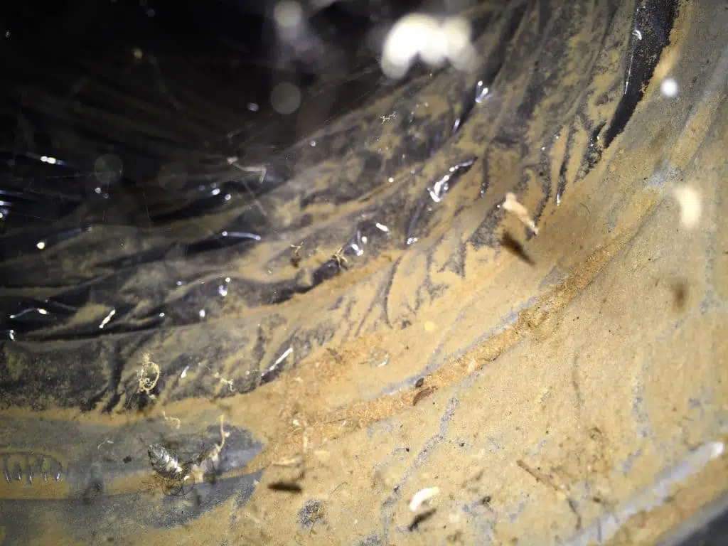 Air duct cleaning service