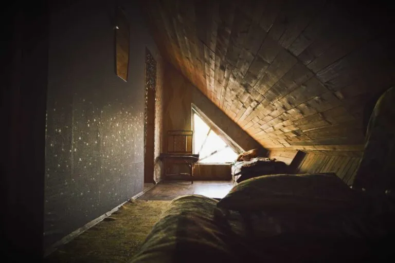 Crawlspace cleaning