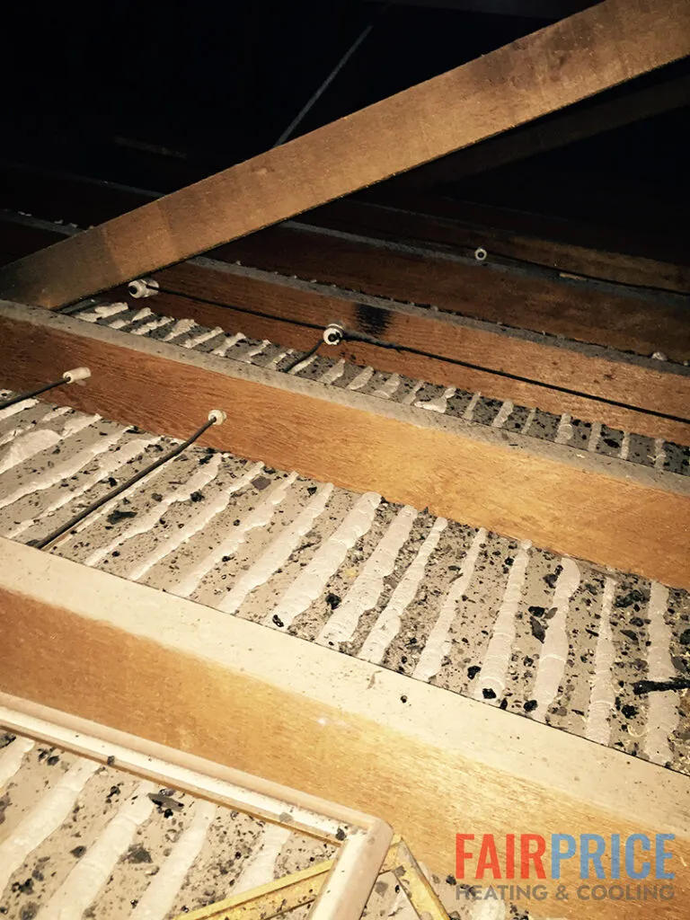 attic sanitation in preparation for rodent proofing services