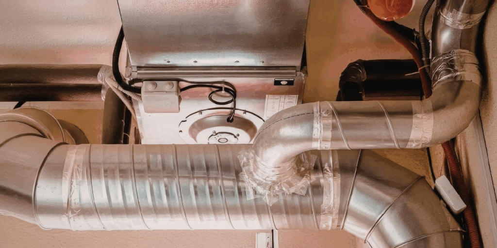 Comprehensive Rodent Proofing for Campbell Homes: A Professional Approach