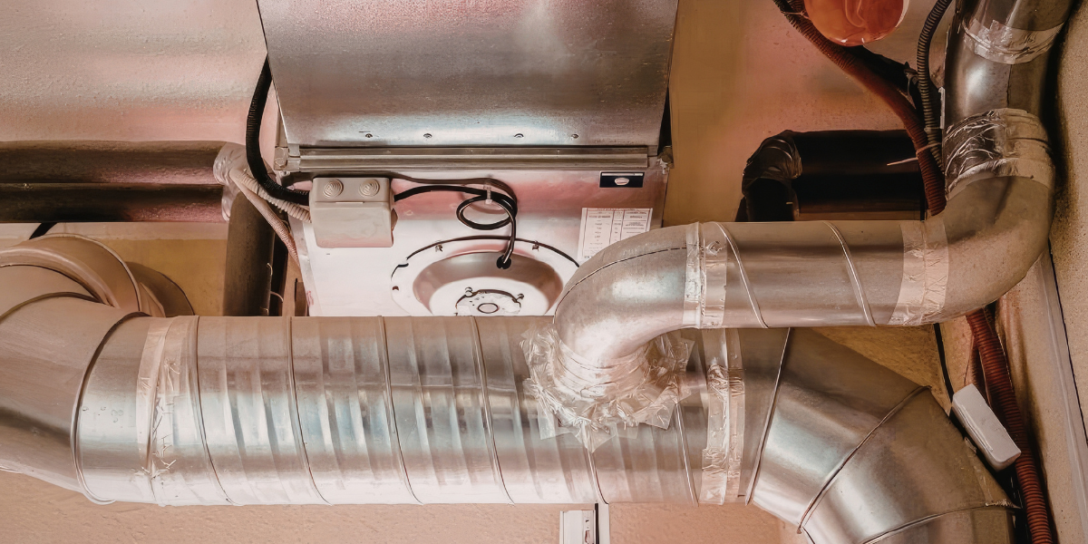 Comprehensive Rodent Proofing for Campbell Homes: A Professional Approach